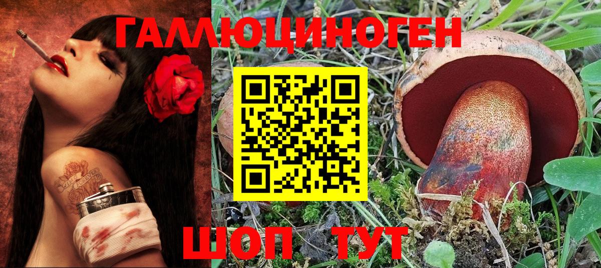 Аргун  Псилоцибиновые грибы Magic Shrooms  Вход с VPN 