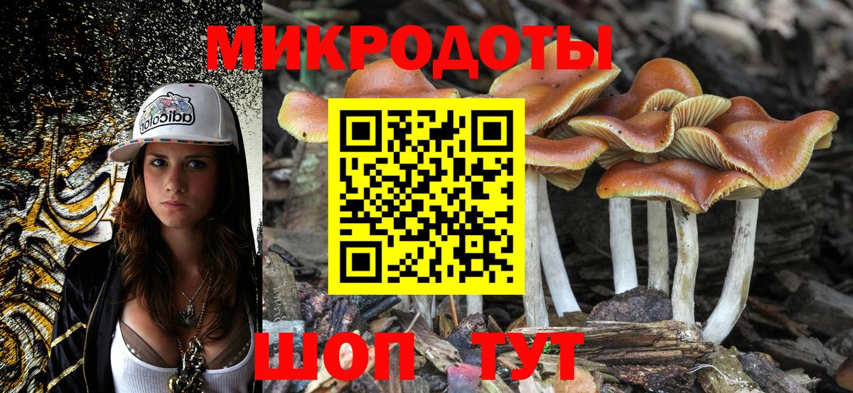Галлюциногенные грибы GOLDEN TEACHER Аргун